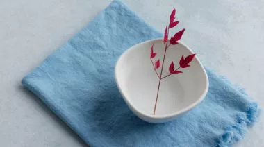 plating-instructions-image